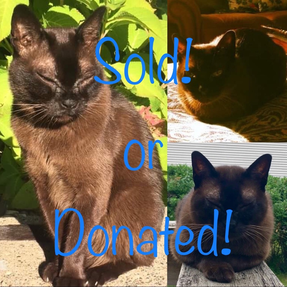 🎉Sold/Not For Sale/Donated Listings🎉 Thanks! 🎉